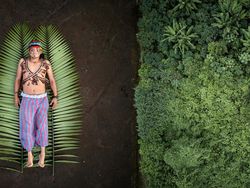 Foto Terbaik Juara Sony World Photography Awards 2020