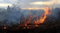 Kobaran api menyala dari lahan gambut yang terbakar di Desa Peunaga Cut Ujong, Meureubo, Aceh Barat, Aceh, Rabu (10/6/2020).