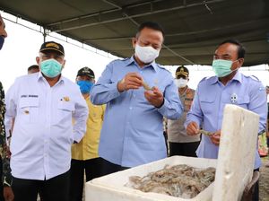 Menteri Edhy Bantu Pembudidaya Ikan Gorontalo Senilai Rp 7,94 M