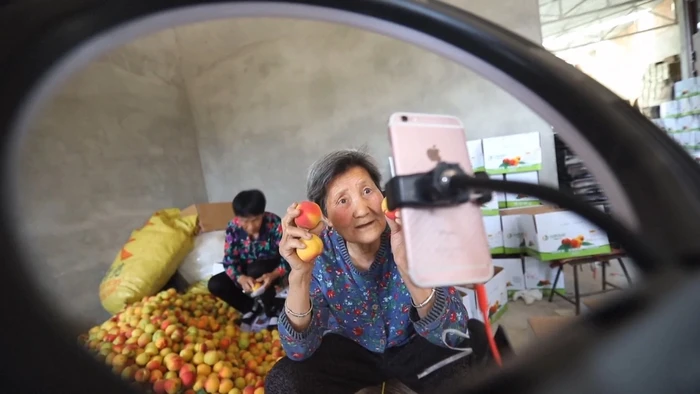 Nenek Jual Buah Aprikot Online