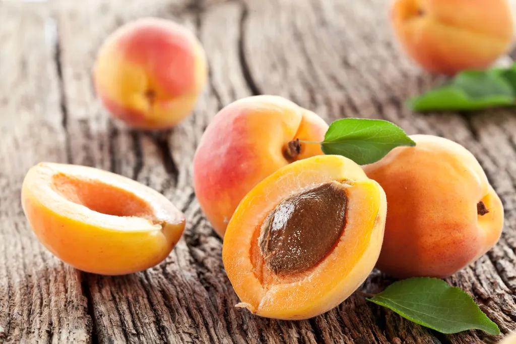 Nenek Jual Buah Aprikot Online