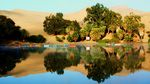 Peru Punya Oasis Paling Indah di Dunia Lho
