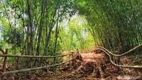 Trek ini akan melintasi dua bukit yang ada di Kelurahan Cisurupan, Kecamatan Cibiru. Panjangnya sekitar 4 km. (Wisma Putra/detikcom)