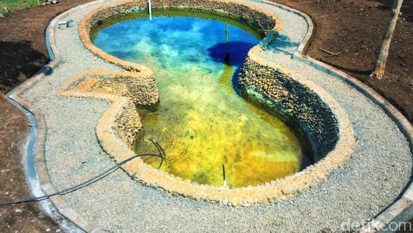Kawasan Mbah Garut dan Mbah Celeng masing-masing punya dua kolam rendam yang berasal dari mata air. (Wisma Putra/detikcom)