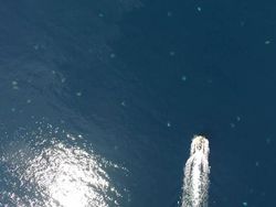 Gemasnya Ribuan Bayi Penyu Difoto dari Drone