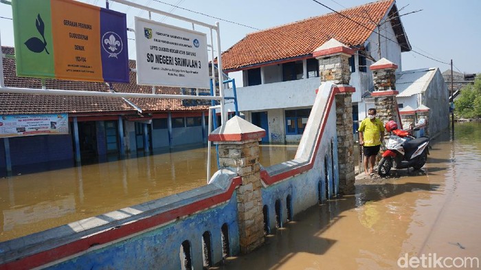 SD Negeri 3 Sriwulan, Demak terendam banjir rob, Kamis (11/6/2020).