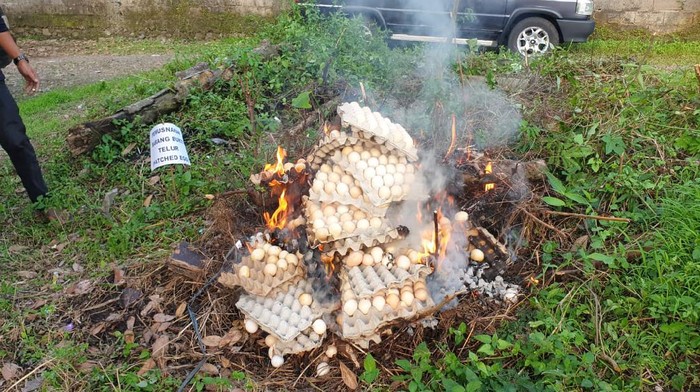 Telur busuk di Tasikmalaya dimusnahkan