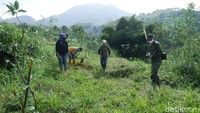 Agar kawasan menjadi rimbun, ribuan pohon ditanam. Selain sebagai objek wisata, penanaman pohon juga dilakukan sebagai wilayah resapan air. (Wisma Putra/detikcom)