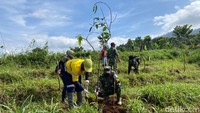 Agar kawasan menjadi rimbun, ribuan pohon ditanam. Selain sebagai objek wisata, penanaman pohon juga dilakukan sebagai wilayah resapan air. (Wisma Putra/detikcom)