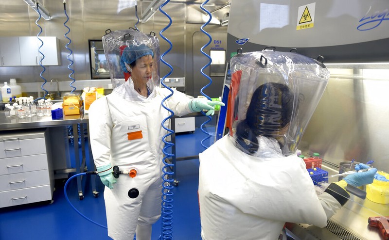 FILE - In this Thursday, Feb. 23, 2017 file photo, Shi Zhengli works with other researchers in a lab at the Wuhan Institute of Virology in Wuhan in central China's Hubei province. On Dec. 30, 2019, Wuhan health officials issued an internal notice warning of an unusual pneumonia, which leaked on social media. That evening, Shi, famous for having traced the SARS virus to a bat cave, was alerted to the new disease, according to an interview with Scientific American. Shi took the first train from a conference in Shanghai back to Wuhan. (Chinatopix via AP)
