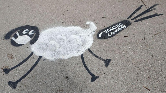 VARAZZE, ITALY - JUNE 10: A drawing shows a sheep with the inscription 'Covid-19 vaccine' on June 10, 2020 in Varazze, Italy. The whole country is returning to normality after more than two months of a nationwide lockdown meant to curb the spread of Covid-19. (Photo by Vittorio Zunino Celotto/Getty Images)