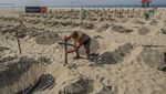 Aksi Gali Kuburan di Pantai Brasil