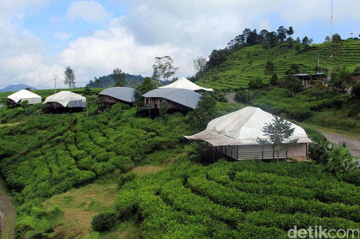 Destinasi wisata Glamping Lakeside di Ciwidey, Bandung, rencananya akan kembali dibuka esok. Protokol kesehatan pun disiapkan jelang pembukaan tempat wisata itu