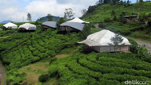 Begini Persiapan Glamping Lakeside Ciwidey yang Akan Dibuka Besok Destinasi wisata Glamping Lakeside di Ciwidey, Bandung, rencananya akan kembali dibuka esok. Protokol kesehatan pun disiapkan jelang pembukaan tempat wisata itu