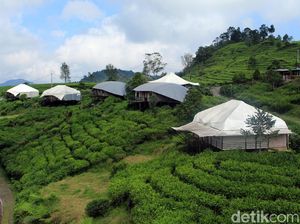 7 Rekomendasi Glamping di Bandung, Nyaman Enggak Pake Repot