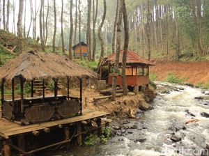 Potret Campung Singkur Bandung yang Sudah Dirindukan Traveler