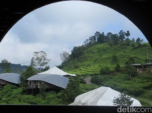 Glamping Likeside Ciwidey Buka Besok, Begini Persiapannya