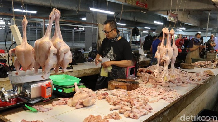 Harga ayam potong di Kota Bandung Jawa Barat, atau per Bulan Juni kembali naik. Seperti di Pasar Tradisional Kosambi, Kota Bandung, saat ini harga ayam potong Rp 45 perkilogram, padahal bulan lalu sekitar Rp 35-40 ribu perkilogram.