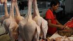 Harga Ayam Potong di Bandung Capai Rp 45 Ribu