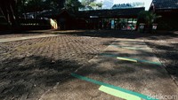 Saat ini Kebun Binatang Ragunan masih ditutup untuk mencegah penyebaran virus Corona. Penutupan dilakukan sejak sejak 14 Maret lalu.