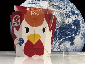 Keren! Ayam Goreng Mini Market di Jepang Jadi Bekal Makanan Astronot