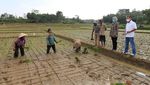 Gelontorkan Rp 1 Miliar Lebih untuk UMKM di Lampung