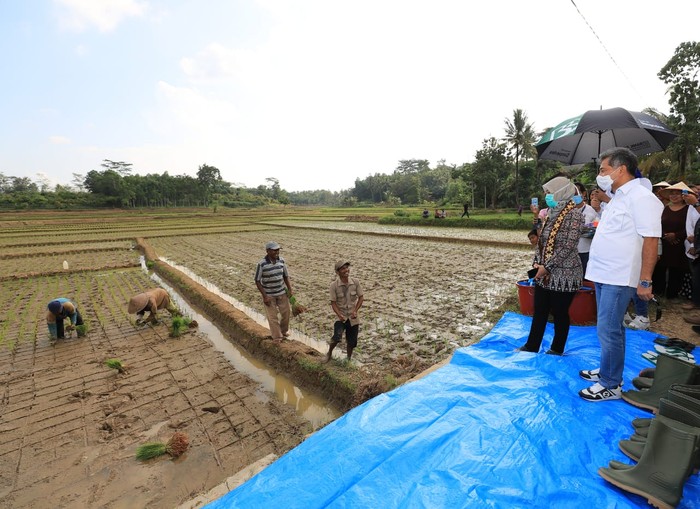 Kucurkan Rp 1 Miliar Lebih untuk UMKM di Lampung Bank BRI kembali mengucurkan bantuan melalui Yayasan Baitul Mal (YBM) Bank BRI senilai Rp 1,6 Miliar untuk 31 kelompok tani peserta program Peningkatan Keterampilan Usaha Rakyat (PKUR) di Lampung.