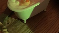 Tiga bebek dalam bak mandi ini terlihat menggemaskan. Tapi asal tahu saja, ini merupakan penyajian untuk cocktail lho foodies! Foto: boredpanda.com