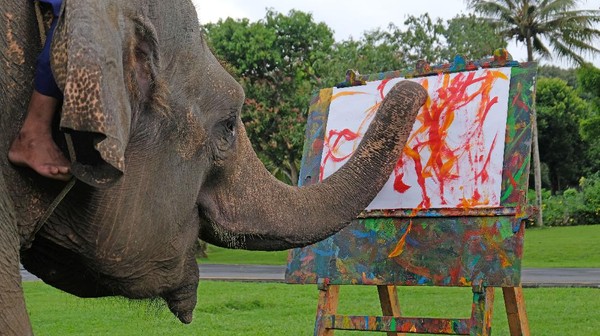 Seru Banget! Yuk, Intip Gajah Melukis di Candi Borobudur