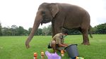 Seru Banget! Yuk, Intip Gajah Melukis di Candi Borobudur
