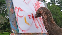 Kegiatan gajah melukis merupakan salah satu program TWC Borobudur untuk menyuguhkan wisata alternatif di candi Borobudur jika sudah dibuka kembali untuk umum. Sementara itu para gajah terus mendapat perawatan untuk menjaga kesehatan mereka.