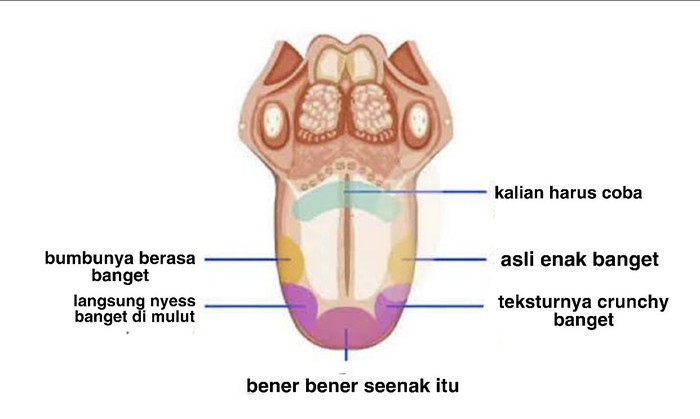 Peta rasa lidah selebram saat mengulas makanan