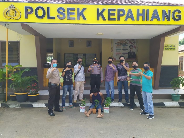 Polisi tangkap pria tanam ganja di Bengkulu (dok. Istimewa)