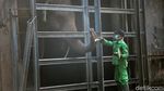Potret Binatang di Ragunan yang Kangen Dikunjungi