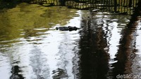 Setiap pengunjung diharuskan mendaftar secara daring sebelum ke Ragunan.