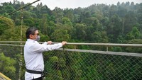 Menurut Wamen LHK, ketika melintasi jembatan gantung terpanjang di Asia Tenggara sepanjang 243 meter ini setiap pengunjung hendaknya menggunakan sabuk pengaman dan difasilitasi dengan memberikan bentangan tali-tali yang terbuat dari baja yang dikaitkan pada badan jembatan sejak titik ujung awal start, hingga ujung jembatan. Setiap pengunjung tersebut harus diawasi oleh petugas untuk menjaga keamanannya (dok Humas KLHK)