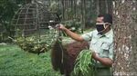 Foto: Taman Safari Prigen Bersiap Sambut Wisatawan Era New Normal