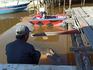 Rahasia Ambo Akrab dengan Buaya Jumbo yang Kerap Minta Makan di Kaltim