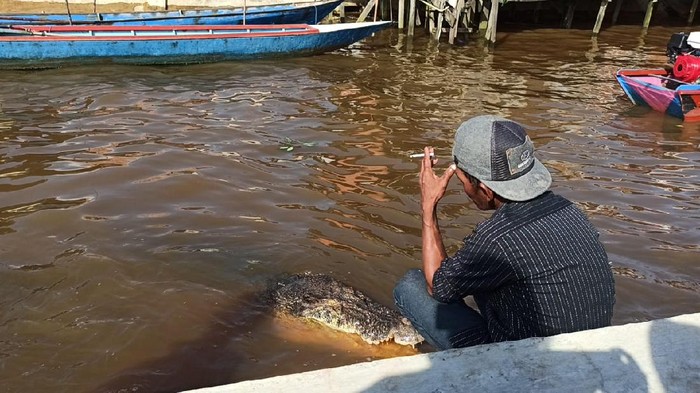 Ambo dengan buaya Riska yang viral.