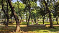 Warga berolahraga sambil menikmati asrinya Lapangan Banteng.