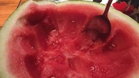 Dibuat seperti mangkuk buah, potongan semangka segar ini bukannya dipotong-potong melainkan disendok langsung ke mulut. Foto: BuzzFeed