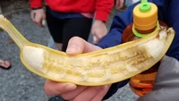 Cukup mudah untuk menyantap buah pisang, tapi netizen ini malah pilih cara rumit untuk menikmati pisangnya. Foto: BuzzFeed