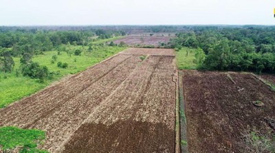 Pembukaan Lumbung Pangan Baru Dimulai