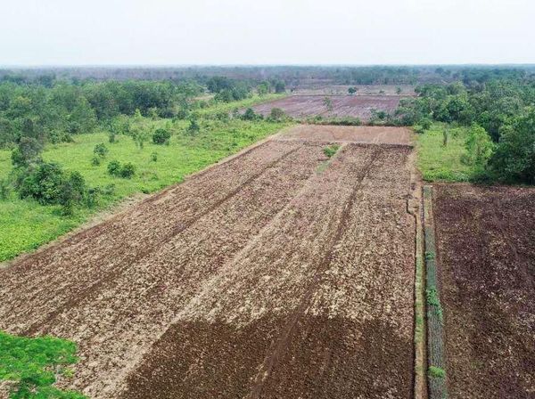 Pembukaan Lumbung Pangan Baru Dimulai