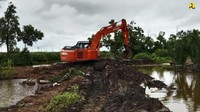 Kementerian Pekerjaan Umum dan Perumahan Rakyat (PUPR) mendapat tugas dari Presiden Joko Widodo untuk melaksanakan program pengembangan food estate sebagai daerah yang diharapkan menjadi lumbung pangan baru di luar Pulau Jawa.