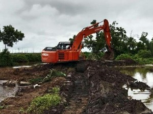 Lumbung Pangan Jadi Jaminan RI Aman dari Krisis Pangan?