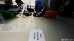 Pengobatan Kucing Gratis dan Kenduri Satwa di Solo