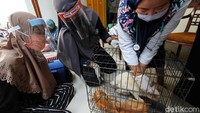 Para pecinta satwa itu mengantre untuk memeriksakan kesehatan kucingnya dalam acara Kenduri Satwa.