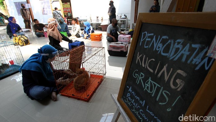 Pengobatan Kucing Gratis dan Kenduri Satwa Relawan pecinta satwa yang tergabung dalam Cat Lover Peduli COVID-19 mengikuti pengobatan gratis untuk kucing saat acara Kenduri Satwa di Galeri Joli Jolan Solo, Jawa Tengah, Sabtu (13/6).