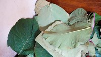 Bungkus daun jati menjadi ciri khasnya. Bu Murni mendapatkan daun jati ini dari daerah Tangerang. Foto: dok. detikFood/Yenny Mustika Sari